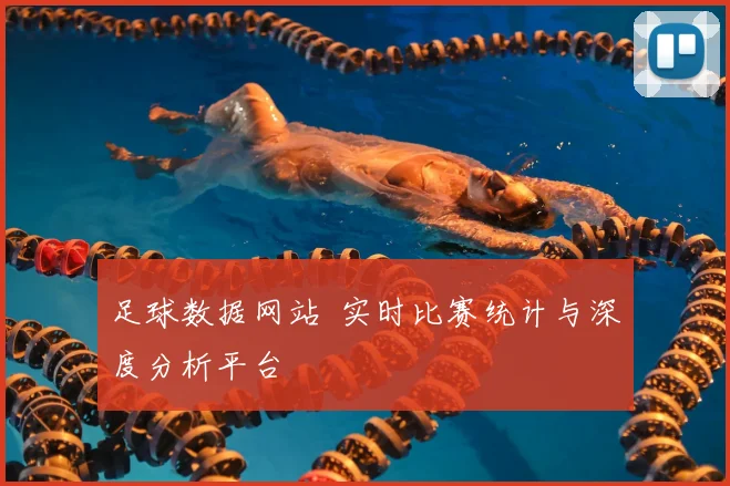 足球数据网站 实时比赛统计与深度分析平台